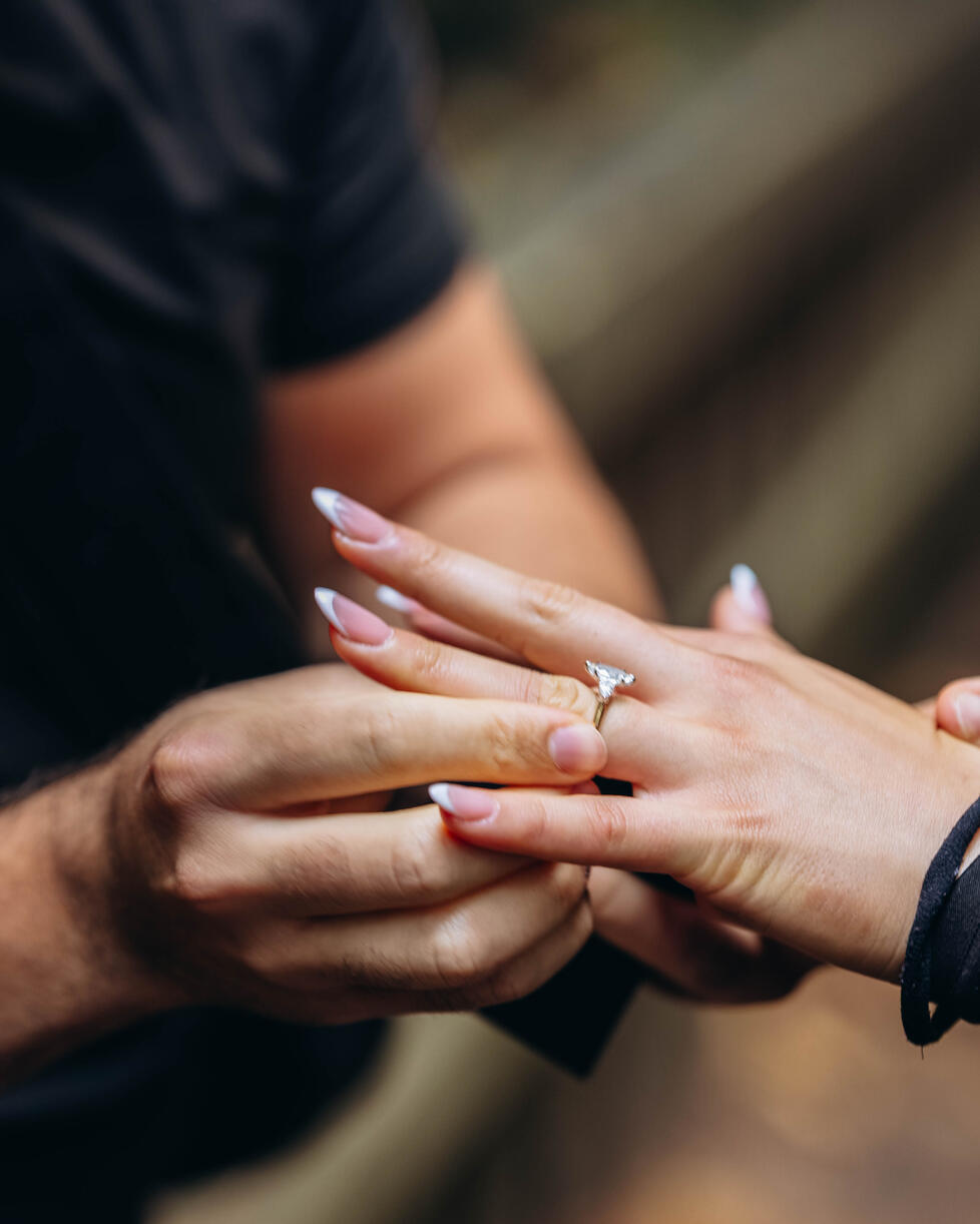 Proposal